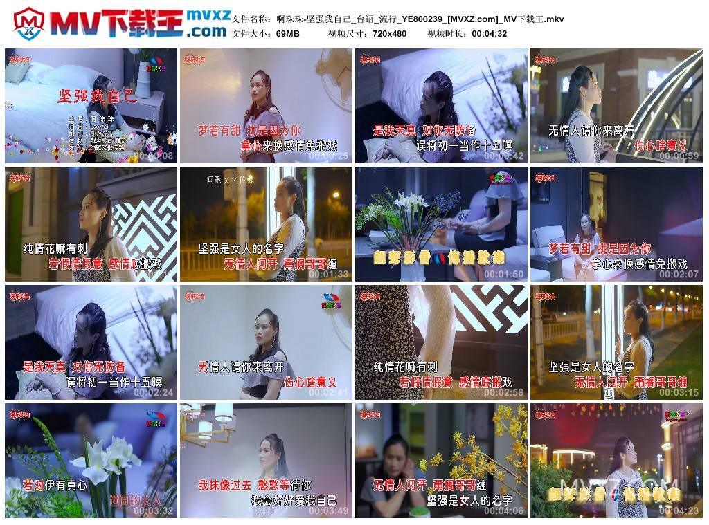 啊珠珠-坚强我自己_台语_流行_YE800239